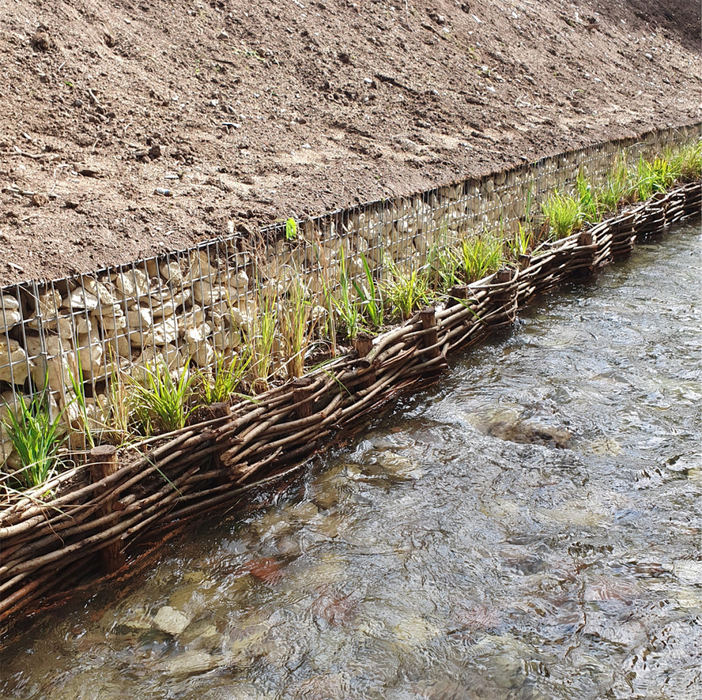 Tressage de saule